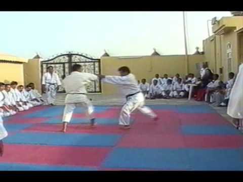 Shuryukan Yoshinkai Aikido Demo Team