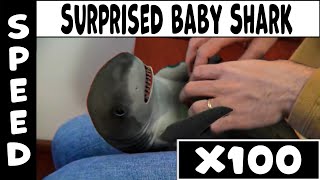 Surprised Baby Shark Speed X100 (Gradual Accseleration)