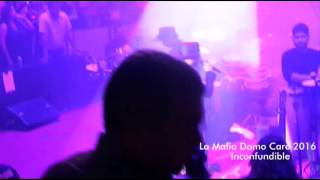 LA MAFIA DOMO CARE 2016 / Cada vuelta de esquina