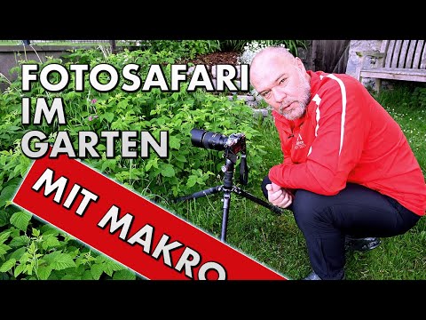 MAKROFOTOGRAFIE im Garten | INSEKTEN fotografiert man am MORGEN