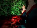 Kaala Thaluvi Nikkum Cutsong Shorts Trending 90severgreen