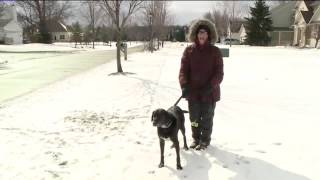Lorain County snow