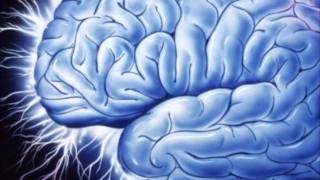 Rods and Cones (Blue Man Group)