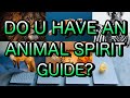 YOUR ANIMAL SPIRIT GUIDE PICK A CARD