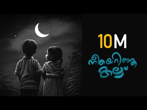 Neeyerinja  kallu |നീയെറിഞ്ഞ കല്ല് | Raaza Beegum and Zainu - Shahul Hameed.