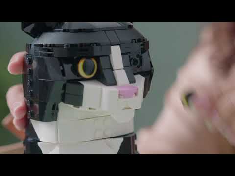 Vidéo LEGO Ideas 21349 : Le chat bicolore