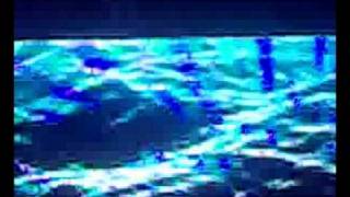 Sunrise festival 2008 water stage   DJ ANDY MOOR patr 2