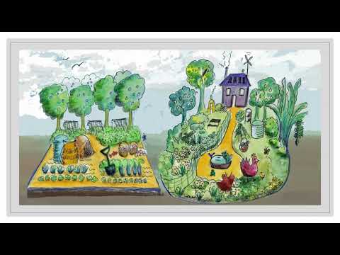 Permaculture vs. Organic: Beyond the Basics