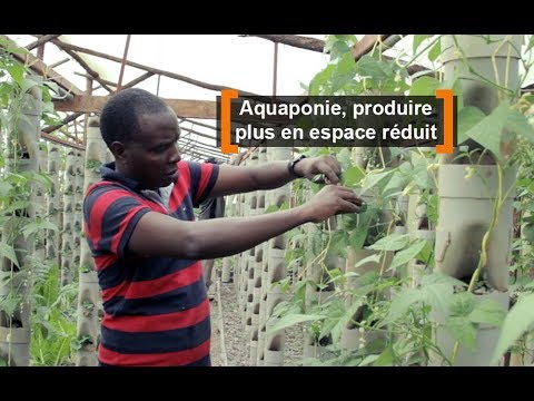, title : 'Kenya : Aquaponique, produire plus en espace réduit'