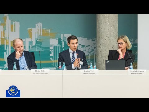 2024 ECB Annual Banking Supervision Research Conference Session 3 - Paper 7