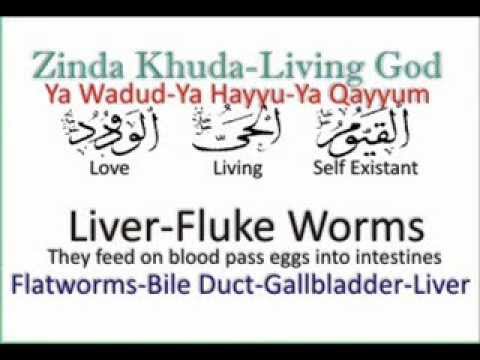 Liver Fluke Worms say Shifa