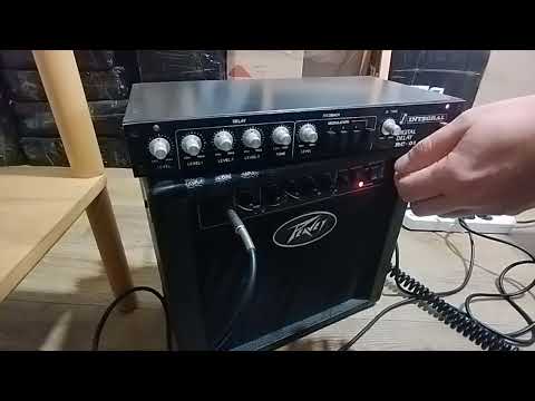 Immagine Integral RC-01 Vintage Delay - 10