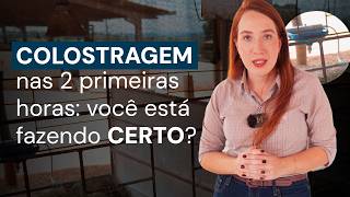 Miniatura do vídeo