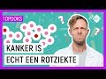 WAT GEBEURT ER BIJ KANKER? | Vraag het dokter Elbert | NPO Zapp
