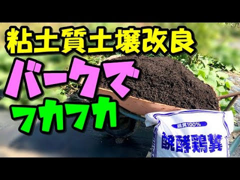 シャラントのかつての粘土採石場
