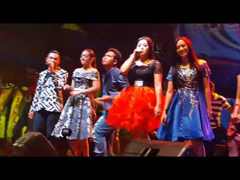 New pallapa terbaru 2017 allartis gita cinta