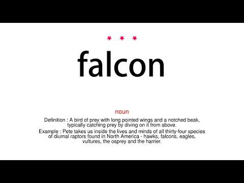 How to pronounce falcon - Vocab Today
