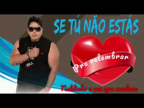 Naldinho - Se Tu Não Estas