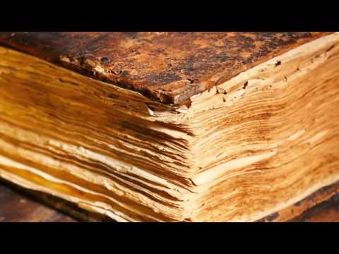 BOIOCO aka ProTest - Jurnal