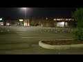 Seagulls Relaxing In Parking Lot After Hot Day Waiting For Some One To Bring Cold Drinks