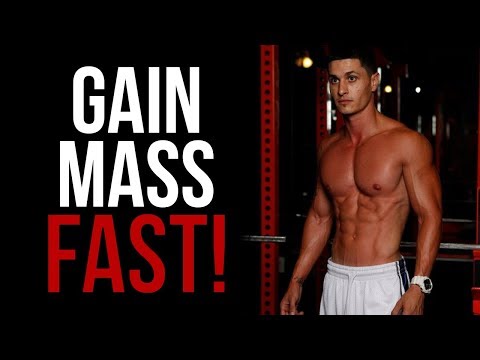 Mass-Building Ectomorph Workout Routine for Men (Gain Muscle Fast!)