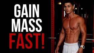 Mass-Building Ectomorph Workout Routine for Men (Gain Muscle Fast!)