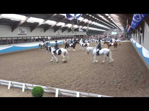 NK carrousel 2016 - Akasha Dreamteam 1