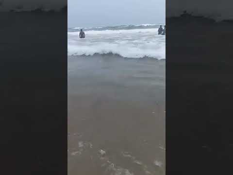 #puriseabeach #beachvibes