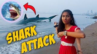 GIANT Shark Attack Near Beach | OMG **Dangerous**