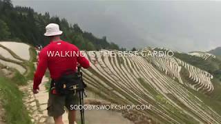 preview picture of video 'Walking is the best exercise for health and fat loss. (Longji, China'