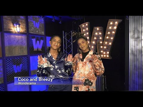 Entrepreneurs, TV show hosts, and DJs Coco and Breezy on Statistics in Schools