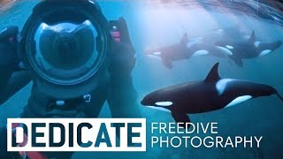 Meet the photographer that dives with orcas: Jacques de Vos.