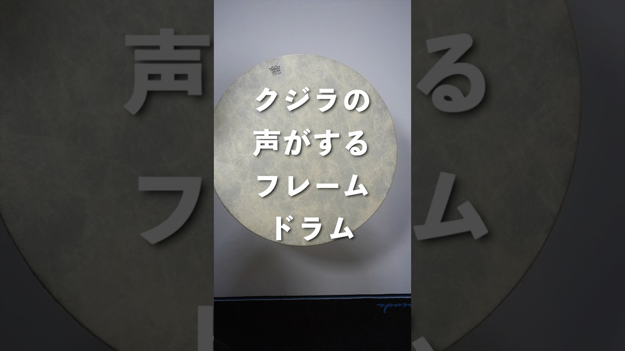 【えッ!!!】フレームドラムこんな癒し音出るの?! こすれば深海の音がする　　　　　　#フレームドラム　 #深海 #クジラの鳴き声 #音フェチ #ASMR #楽器の可能性
