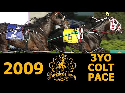 2009 Breeders Crown - If I Can Dream - 3YO Colt Pace