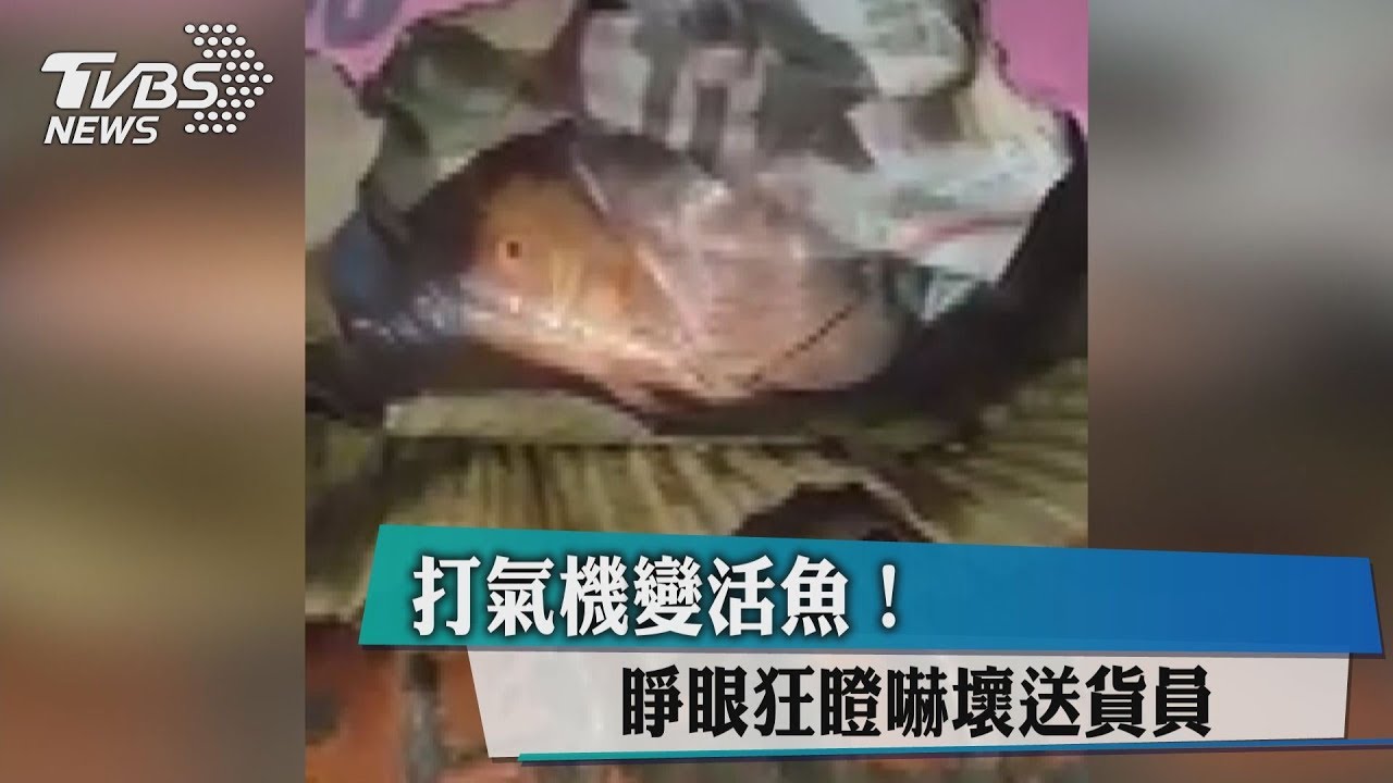打氣機變活魚! 睜眼狂瞪嚇壞送貨員