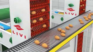 Download lagu How H-Type Layer Chicken Cage System Boosts Egg Production & Automates Your Poultry Farm mp3