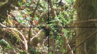 N°3 Sniper Airsoft Scope cam bolt 450fps VaVAnN