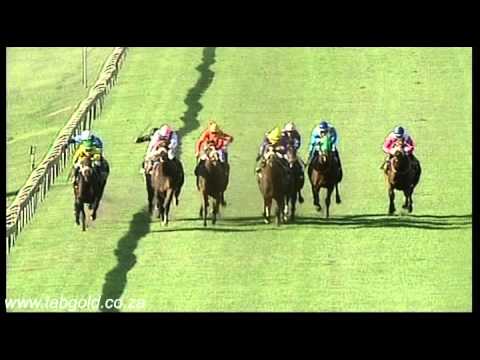 20160424 Scottsville Race 6 won by WAY OF LIGHT