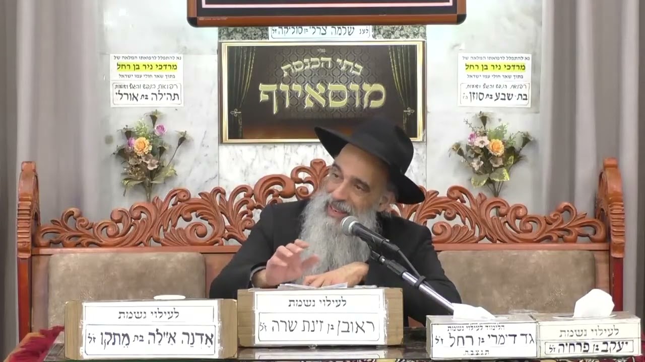 הרב מאיר שמואלי | פרשת שמות | מוסאיוף