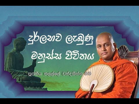 දුර්ලභව ලැබුණු මනුස්ස ජීවිතය - Ven Talalle Chandakitthi thero