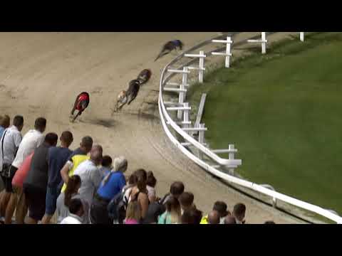 2020.08.21. 04. futam - Fürge Ürge Derby Consolation