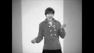 Monkees - She Hangs Out (mono, no horns, no fade, b&amp;w)