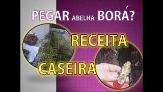 Como pegar abelha bor com Atrativo Caseiro