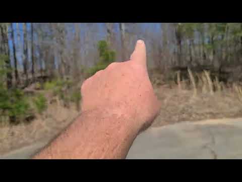 2023 looking for new swarm trap locations tip.