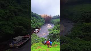 Dangerous flash flood in the river at the Park #flashflood #flood #tsunami #waves