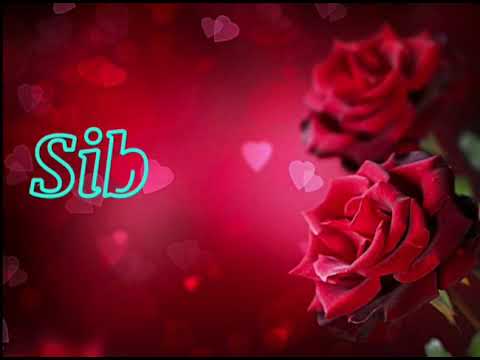 request  done Sibgha name whatsapp status