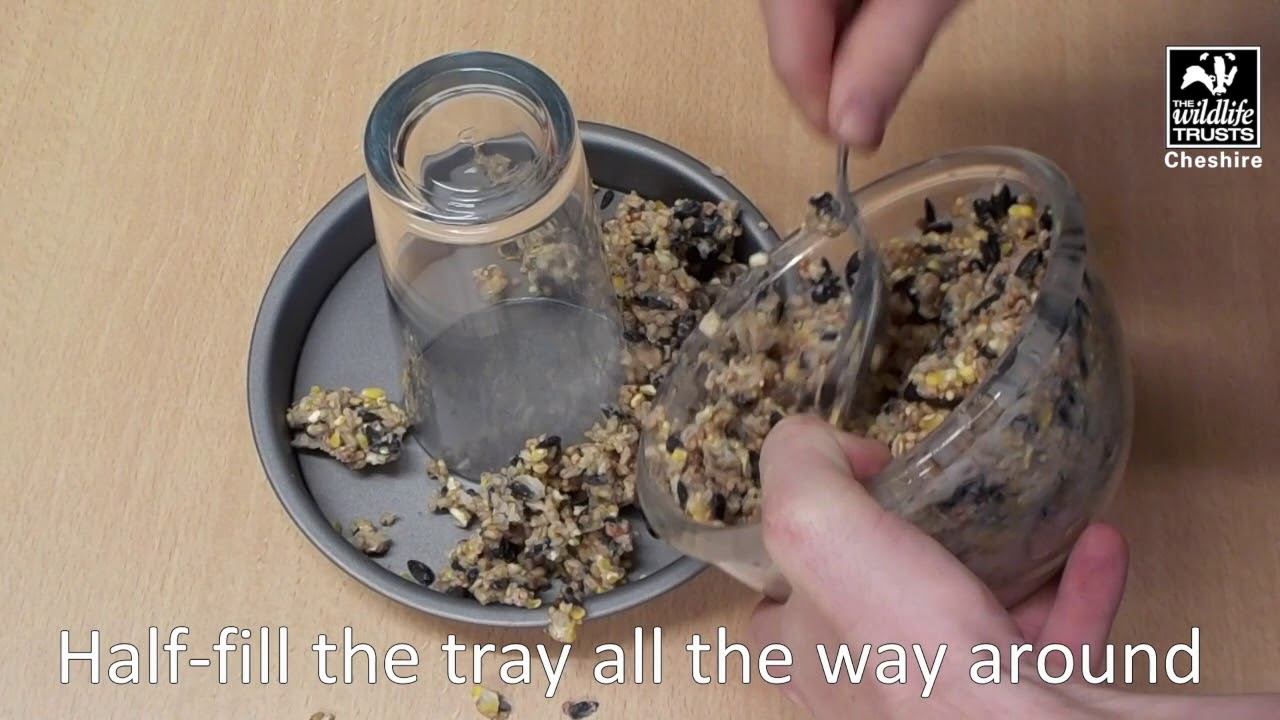 How to make a seed wreath