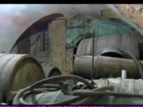 ONDA TG 7.08.2012 - PRESENTAZIONE LE UVE DEI PELIGNI