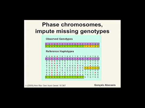 Genomic Approaches to the Study of Complex Genetic Diseases - Karen Mohlke (2014)