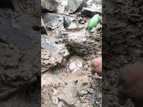 🦀chibori kekda/🦀/#viralvideo #crabsoup #minivlog #fishing #frish #viralvideo #chibori#kekda#song